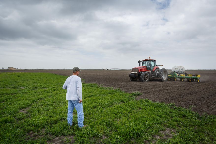 John Wikoff, left, watches as John Elliott plants corn in what was once a rice field, Wednesday, March 19, 2014, in Bay City. "It's disheartening to lose your rice farming and your livelihood," Elliott said. "I hope we can survive this; we had to retool and spend over $250,000 to buy a planter, tractor and equipment." Matagorda County farmers are being forced to downsize their farming operation and change crops, from rice to dry land corn, due to a lack of irrigation water for the third consecutive year from the Colorado River. (AP Photo/Houston Chronicle, Michael Paulsen/File)