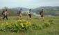 a56baabeead4df10520f6a706700ed80.jpg