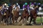 Kentucky Derby Horse Racing.JPEG-037df.jpg