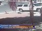 3_cat-chases-dog_mugshot_four_by_three.png