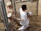 3_gitmo_3956_20081118_mugshot_four_by_three.jpg