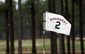 US Open Golf_Lanc.jpg