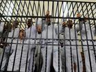 mideast-egyptjpeg-0181c_mugshot_four_by_three.jpg