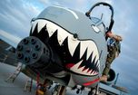 A10 Warthog Air Force DTE.jpg