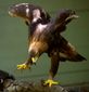 7_2_2014_ap130509050978201.jpg