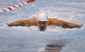 Phelps Comeback Swimm_Lanc.jpg