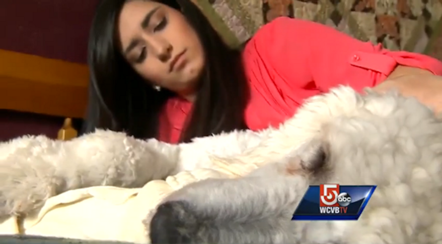TJ Maxx says it "deeply regrets" an incident last week in which 19-year-old Sydney Corcoran, who survived the 2013 Boston Marathon bombings, was forced to leave a New Hampshire store because of her service dog, Koda. (WCVB)