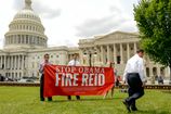 RNC_20140729_008.JPG