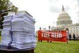 RNC_20140729_010.JPG