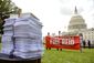 RNC_20140729_010.JPG