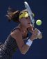 2014 US Open Tennis_Lanc(5).jpg