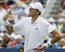 2014 US Open Tennis_Lanc(8).jpg