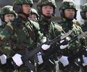PLA.jpg