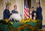 11262014_obama-turkey-pardon8201.jpg