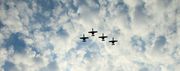 11302014_warthog8201.jpg