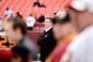 REDSKINS_005.JPG