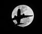 Full Moon.JPEG-05d3d.jpg