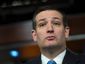 2_152015_congress-homeland-78201.jpg