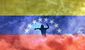 3_252015_b3-thom-venezuela-u8201.jpg