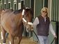 Belmont Baffert Evolution Horse Racing.JPEG-0c0d2.jpg
