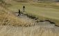 US Open Golf.JPEG-021ed.jpg