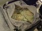 tsa cash.jpg