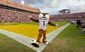 10 - LSU Mike The Tiger.jpg