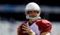 Drew-Stanton.jpg