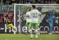 germany_bundesliga_soccer.jpeg