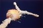 space_shuttle_challenger_30th_anniversary_photo_gallery.jpeg
