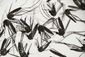Brazil Zika War on Mosquito.JPEG-02d94.jpg