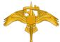 MARSOC pin.jpg