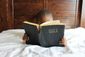Bible reading.jpg