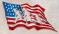 9_6_2016_b4-mori-alien-flag-8201.jpg