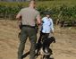 volunteer_harvest-03.jpg.jpeg