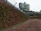 cubs_dearly_departed_baseball.jpeg