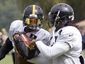 steelers_bell_and_blount_football.jpeg