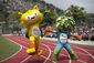 brazil_paralympics_unpaid.jpeg