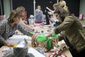 exchange_foster_parent_outreach_09039.jpg