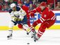 sabres_hurricanes_hockey_87544.jpg