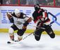 ducks_senators_hockey_41304.jpg