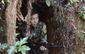 myanmar_fading_hope_88431.jpg