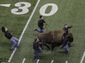 alamo_bowl_football_53473.jpg