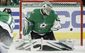 canadiens_stars_hockey_20988.jpg