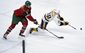 predators_wild_hockey_79112.jpg