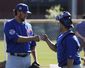 cubs_spring_baseball_38000.jpg