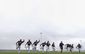 indians_spring_baseball_42167.jpg