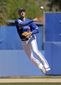 yankees_blue_jays_spring_baseball_24917.jpg