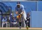 rays_preview_baseball_12625.jpg