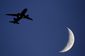 britain_drone_16055.jpg